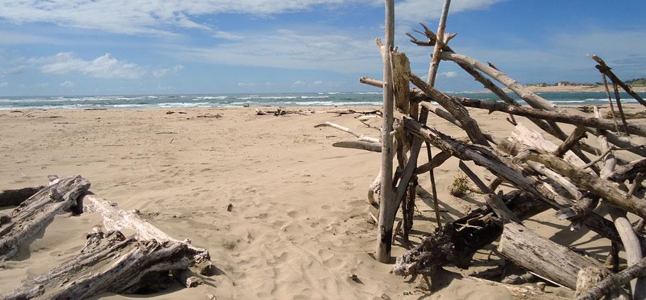 The Oregon Coast