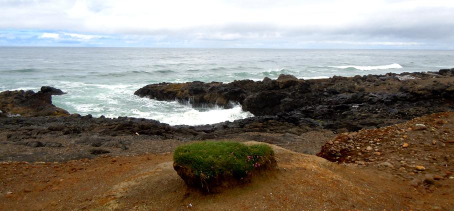 Ocean waves on the Oregon Coast